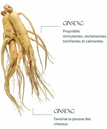  Martine Mah Martine Mah Ginseng Shampoo 200ml - Buy Online on GoSupps.com