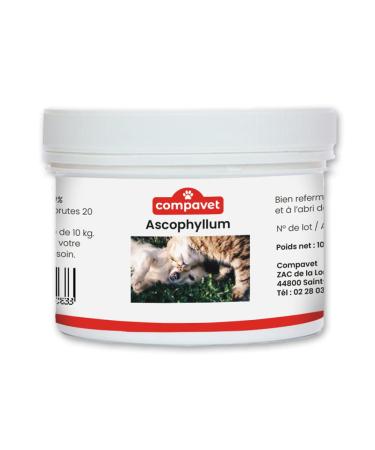 Compavet Ascophyllum Nodosum Powder for Dogs and Cats - Oral Hygiene - Reduces Plaque and Tartar Avoids Bad Breath - 100 g Pot - Developed in France