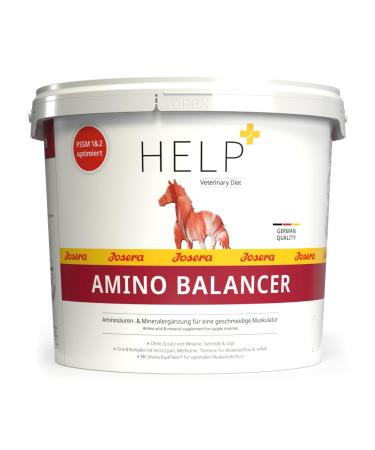 JOSERA Help Aminobalancer (1 x 4 kg) | Amino Acids and Minerals Supplement | For Muscle Development and Support