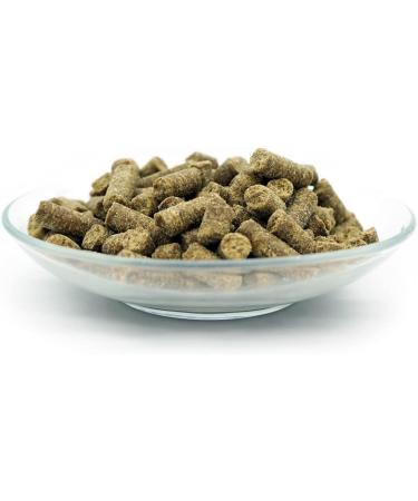 Bellfor Hypoallergenic Dog Food Set - 4 kg - 200 g - Dog Diet - 120 g - For Nutritionally Sensitive Dogs - Large Overweight Dogs - Psyllium Husks - Psyllium Powder - Buy Online on GoSupps.com
