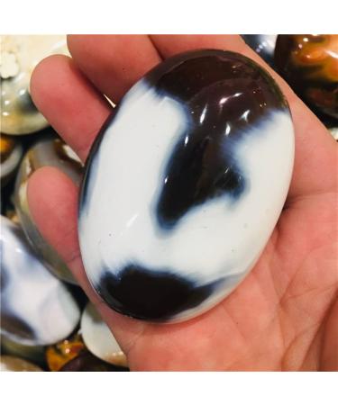 Natural Crystal Rough Home Decor 100-120g Natural Crystal Ocean Stone Rolling Palmetto Stone 1pcs Gifts Natural Crystal