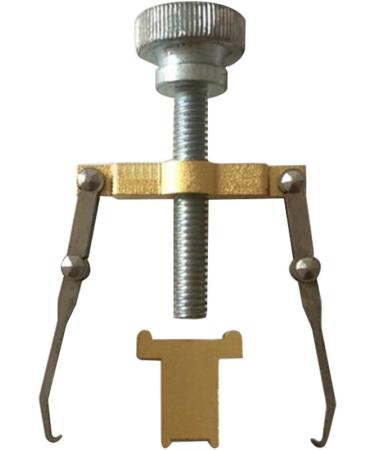 Risingmed Ingrown Toe Nail Correction Tool Pedicure Tool Care Nail Orthosis Armor Corrector Roll a Cover Correction Device Paronychia Special Pedicure Tools - Buy Online on GoSupps.com