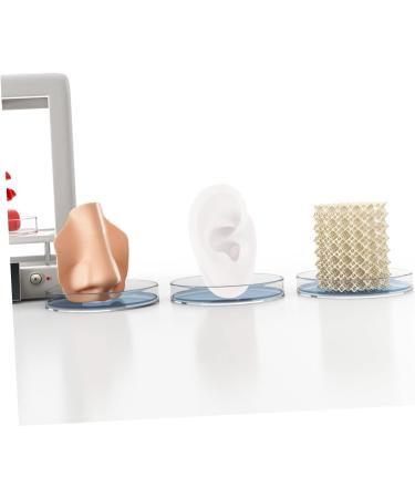 4pcs Silicone Human Ear Anatomy Model for Jewelry and Ear Piercing Practice | Fake Mannequin Ear Mold Set | Body Parts Training Tool - Buy Online on GoSupps.com