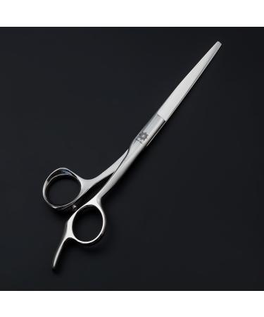 Dream Reach 5.5/6.0 inch Lightweight Professional Barber Hair Cutting Scissors Salon Razor Edge Japanese Stainless Steel Hairdressing Scissors. Hair Styling Trimming & Cutting Shears (6.0 Inch) 6.0 Inch Silver - Buy Online on GoSupps.com