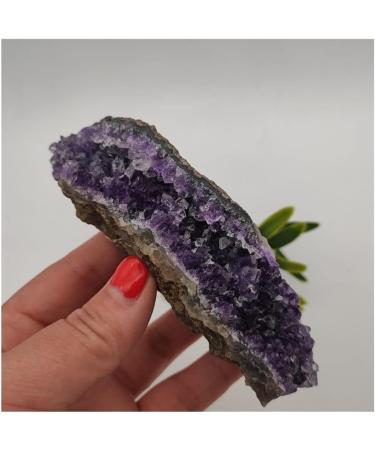 for Natural Dream Amethyst Quartz Crystal Cluster Specimen Full of Texture - Buy Online on GoSupps.com