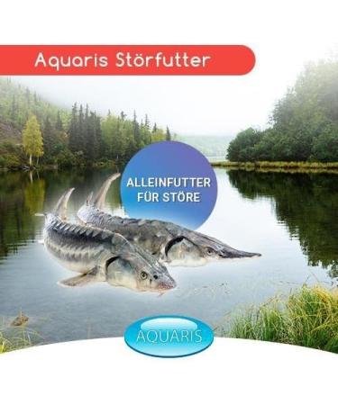 AQUARIS Sturgeon Food 3808 g / 5.6 l / 6 mm does not cloud the water and contains many nutrients with wheat flavor - Buy Online on GoSupps.com