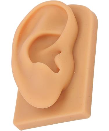 Waterproof Silicone Right Ear Model for Displaying Hearing Aid and Acupuncture Education - Buy Online on GoSupps.com