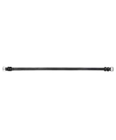 Throatlatch Horse Start (Black Thoroughbred) Thoroughbred Black