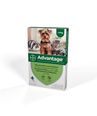 Advantage Spot On Flea Treatment 40 Small Cats Dogs and Rabbits 4 pipettes Small Cats Dogs and Rabbits (&lt 4kg) - Buy Online on GoSupps.com