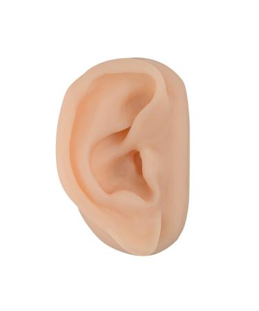 SimCoach Acupuncture Ear Model  Right Artificial Ear Replica for Auricular Therapy Teaching  Piercing Practice  Hearing Aids  Jewelry Display (White)