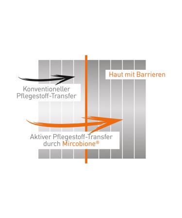 Merz Spezial Detox Mask - Pack of 10 (10 x 10 ml) | International Shipping & Beauty Care - Buy Online on GoSupps.com