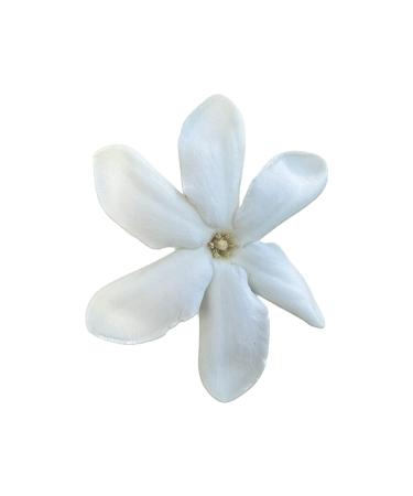 MOTU MITI MONOI TIARE OIL. French Polynesian Monoi Oil. Body Oil Moisturizing Oil Hydrating Oil Bath Body and Shower Skin Care 2 Fl Oz. (VANILLA) - Buy Online on GoSupps.com
