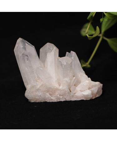 Beautiful Crystal 1PC Natural White Crystal Cluster Irregular Quartz ReikiStone Crystal Point Specimen Home Decoration Crystal Natural Stones (Color : Crystal Cluster Size : 80 120g) 80 120g Crystal Cluster
