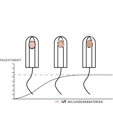 Probiotic Tampons Normal (12 Pieces) - Ellen - Gentle Care for Vaginal Health with Probiotics - Buy Online on GoSupps.com