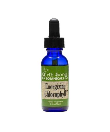 Birth Song Botanicals Energizing Chlorophyll Tincture, Super Concentrated Liquid Chlorophyll Drops, Herbal Energy Support Supplement and Internal Deodorizer, Mint Flavor 1oz Bottle