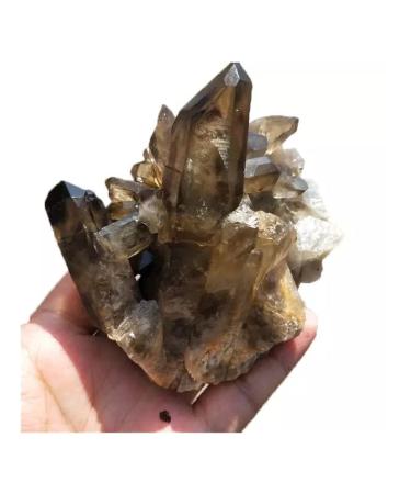 Natural Rough Smoky Quartz Crystal Cluster Specime Beautiful Crystal Cluster (Size : 1pc 760G-850G)