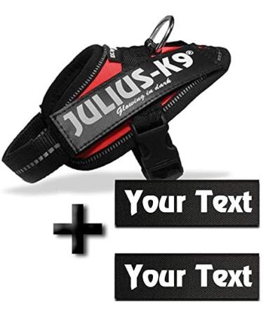 Shop Canicaprice Julius K9 Power IDC Red - Personalize with 2 Labels | Baby 2 (33-45cm) - International Shipping Available - Buy Online on GoSupps.com