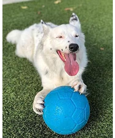 Jolly Pets Dog Football - Ocean Blue 20 cm | Multi Large/X-Large Toy - Buy Online on GoSupps.com
