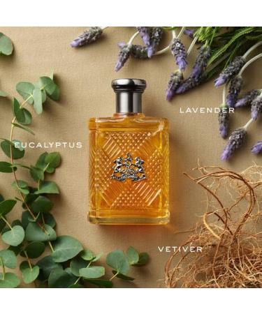 Ralph Lauren - Safari - Eau de Toilette - Men's Cologne - Woody & Fresh - With Eucalyptus Lavender and Vetiver - Medium Intensity - 4.2 Fl Oz - Buy Online on GoSupps.com