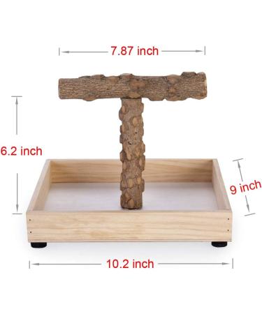 KINTOR Portable Tee Stand for Small Medium Parrots - Parrot Play Stand & Perch Gym - Buy Online on GoSupps.com