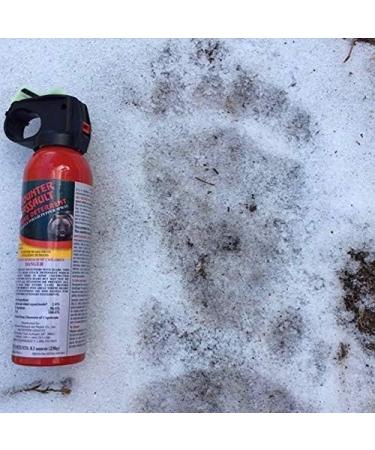 Counter Assault 8.1 Oz Bear Spray and Inert Combo Pack - Effective Bear Repellent Solution - Buy Online on GoSupps.com