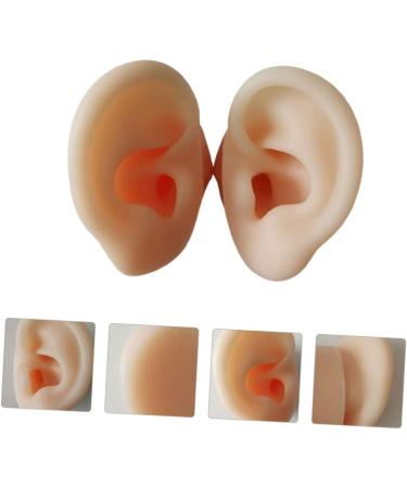 Silicone Ear Models for Practice - 1 Pair Ear Picking & Display Samples - Buy Online on GoSupps.com