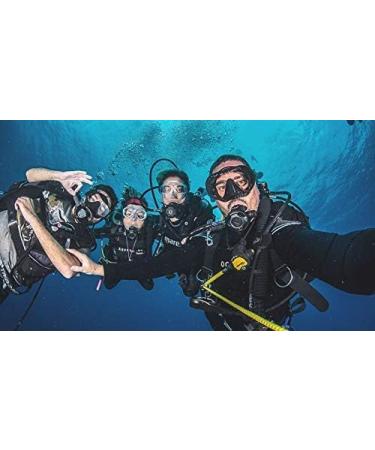 Swimseal Ear Drops - Protect Against Water for Swimming Diving & More - 3 Pack for All Ages - Buy Online on GoSupps.com