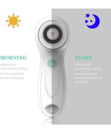 Touch Beauty Facial Brush AG-0759DT - Waterproof 2-Speed Exfoliation & Deep Cleaning - Buy Online on GoSupps.com