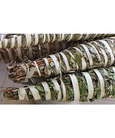 Generic Premium Kinkeliba Leaves 100% Sun Dried Organic Combretum Micranthum 60g - Buy Online on GoSupps.com