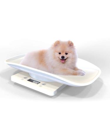 Hankaw Digital Pet Scale Baby Scale Measure Infants, Small Dogs, Cats, Dog Food - LED Display, Tare Function, Range up to 10kg