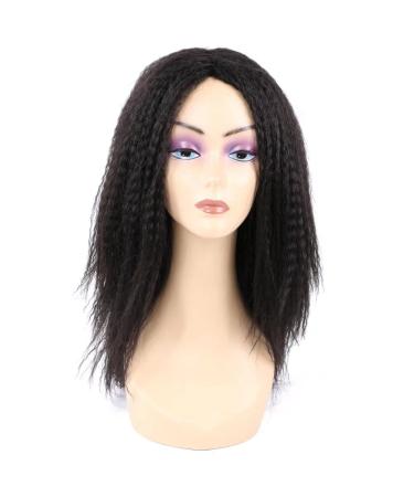 Yaki Straight Wigs Synthetic Kinky Straight Wig Low Temperature Heat Resistant Fiber Wigs For Black Women 14 Inch Black Color (1B) 14 Inch (Pack of 1) 1B
