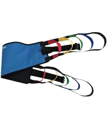 Patient Lift Sling Transfer Belt Stand Assistance Belt Transfer Belt Lift Sling Transport Mobility Aids Positioning Pad with Handles Use for Seniors Bedridden Disabled Obesity - Buy Online on GoSupps.com