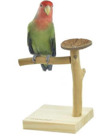 GUANLANT Natural Wood Bird Stand Feeder Toy - Tabletop Portable Parrot Perch Playstand with Feeding Bowl and Treats - Ideal for Parakeets, Conure, Budgies, Lovebirds - Buy Online on GoSupps.com