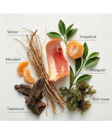 Public Goods Shower Essentials for Men and Women | Natural Shampoo Conditioner & Body Wash | Made with Organic Essential Oils | Sulfate & Paraben Free | Vegan Friendly | 12 Fl Oz Bottles - Buy Online on GoSupps.com