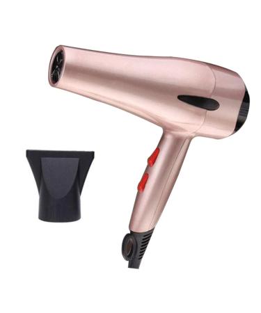 Professional Hair Dryer 3000W AC Motor Negative Ionic Technology Blow Dryer with 3 Heat & 2 Speed Setting and Cool Shot Button Included Concentrator Nozzle 2.0m Long Cable for Men and Women small gift