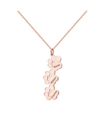 Exlarify personalized paw print necklace memorial necklace with personalized names for dog lovers pet memorial jewelry for animal lovers mom necklace with children's name day gift s3-ros gold