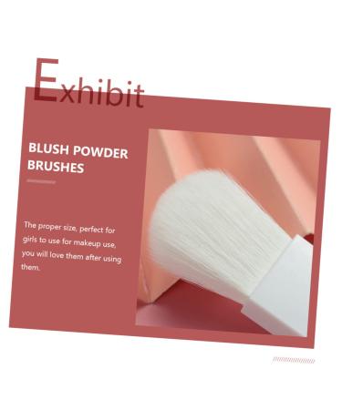 FRCOLOR 25 Pcs Mini Flat Brush Set - Pro Makeup Kit for Blush Eyeshadow and Foundation - Travel-Friendly Cosmetology Essentials - Buy Online on GoSupps.com