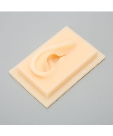 Silicone Ear Model Vivid Shape Durable Wearable Comfortable Soft Human Ear Model Glossy Texture Safe Practical for Teaching Demonstration(Left) - Buy Online on GoSupps.com