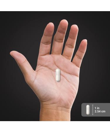 Piping Rock Inosine 500mg | 120 Capsules | Advanced Athlete Formula | Therapeutic Grade | Non-GMO Gluten Free Supplement - Buy Online on GoSupps.com