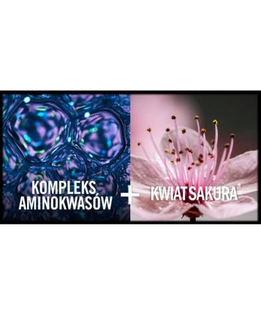 Syoss Salonplex Conditioner 440 ml - Nourishing Hair Care for All Hair Types | Buy Internationally - Buy Online on GoSupps.com