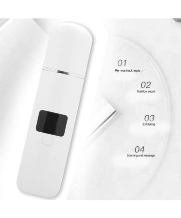 Facial Skin Scrubber Exfoliating Tool for Blackheads Pimples Pore Cleansing Silver - Buy Online on GoSupps.com