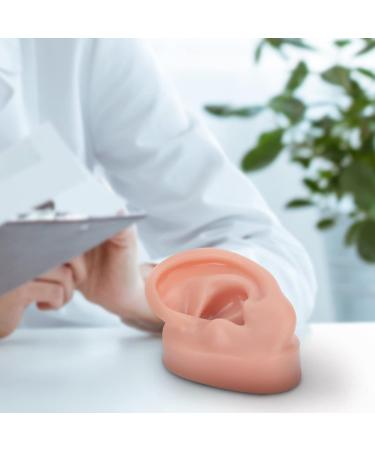 Sherchpry Right Ear Silicone Model - 6.5x3.5cm Ear Piercing & Massage Tool for Realistic Practice | International Shipping Available - Buy Online on GoSupps.com