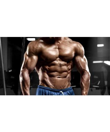 Muscle Recovery Supplements | Glutamine Powder 5000MG | PRE & Post Workout | 3 Cans 900 Grams - International Shipping Available - Buy Online on GoSupps.com