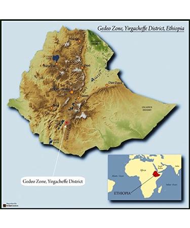 Ethiopian Yirgacheffe Green Unroasted Coffee Beans - 1lb Pack - Buy Online on GoSupps.com