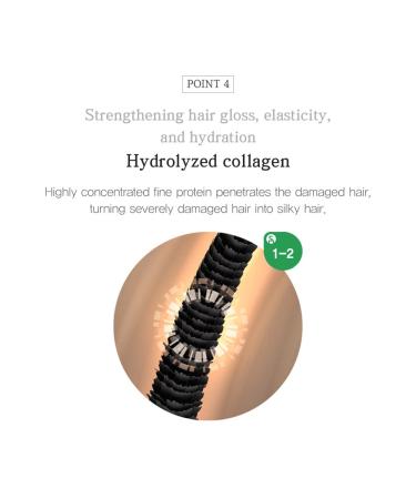 jmella in France Lime and Basil Conditioner 16.9 floz with Luxury fragrance- 12 Chemical Free (Paraben free)- Strawberry Leaf Extract-17 types of amino acid complex Lime and Basil Treatment 16.87 Fl Oz (Pack of 1) - Buy Online on GoSupps.com