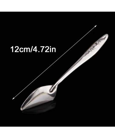 Folewr 5 Pcs Baby Bird Pointed Feeding Spoon Stainless Steel Milk Medicine Parrot Feeder for All Baby Bird Peony Cockatiel Household Pet Feeding Supplies - Buy Online on GoSupps.com