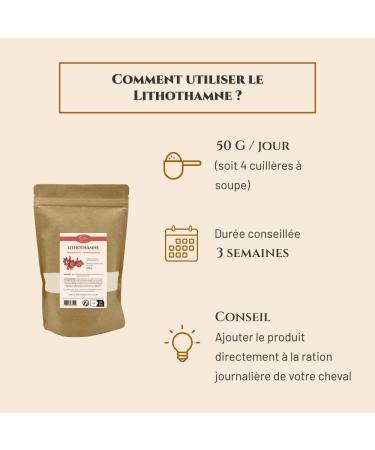 Prince Equin - LITHOTHAMNE - Horse nutritional supplement - 700 g bag - Natural calcium - Helps regulate gastric acidity - Remineralization - French brand - Buy Online on GoSupps.com