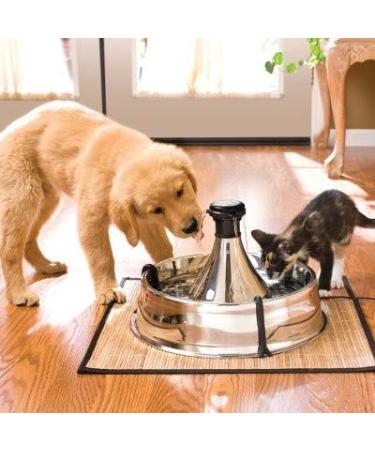 I LOVE MY PETS LLC Urinary Tract Supplements for Cats - PET Urinary Tract Support - Dogs and Cats - UTI Relief Complex - Cranberry Supplements for Cats - 270 Treats (3 Bottles) - Buy Online on GoSupps.com