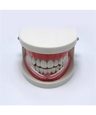 Tooth Brace Anti Teeth-Grinding Dental Guard | Molar Braces Sleep Protector | International Shipping Available - Buy Online on GoSupps.com