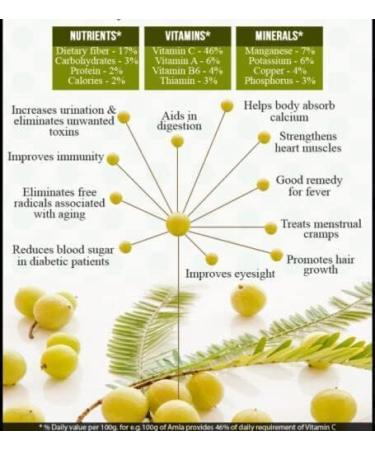 Organic Amla Powder 500g - Buy Online on GoSupps.com